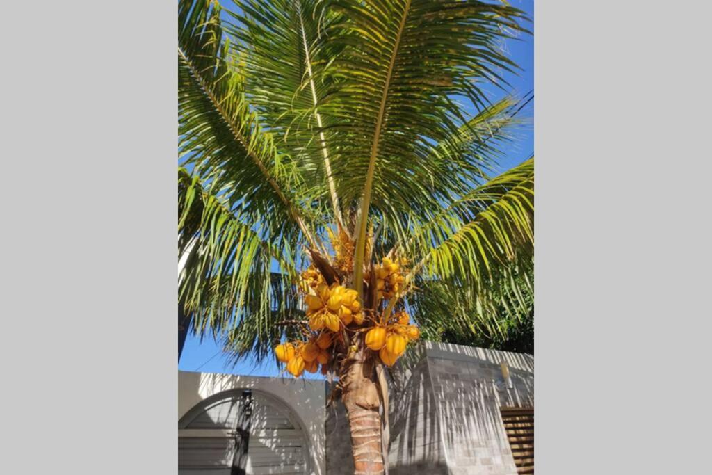 Villa Canne A Sucre Saint-Louis Exterior foto